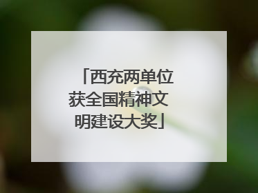 西充两单位获全国精神文明建设大奖