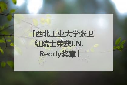 西北工业大学张卫红院士荣获J.N.Reddy奖章
