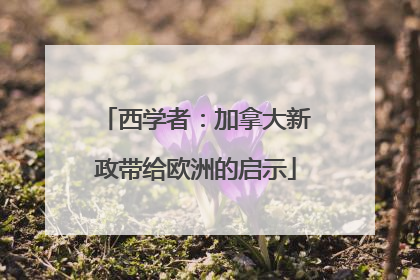 西学者：加拿大新政带给欧洲的启示
