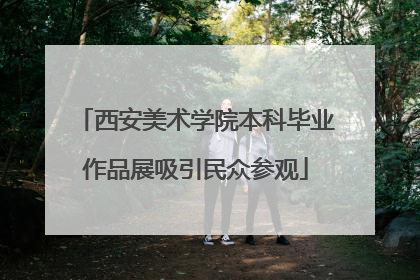 西安美术学院本科毕业作品展吸引民众参观