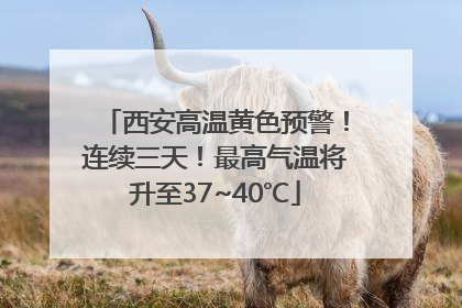 西安高温黄色预警！连续三天！最高气温将升至37~40℃
