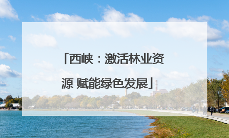 西峡：激活林业资源 赋能绿色发展