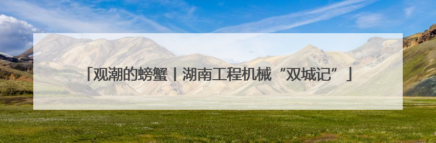 观潮的螃蟹丨湖南工程机械“双城记”