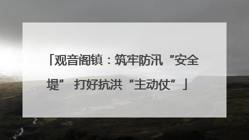 观音阁镇：筑牢防汛“安全堤” 打好抗洪“主动仗”