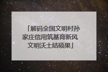 解码全国文明村孙家庄信用筑基育新风文明沃土结硕果