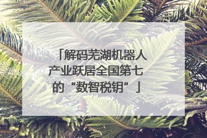 解码芜湖机器人产业跃居全国第七的“数智税钥”