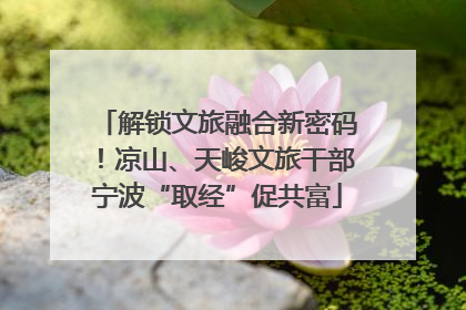 解锁文旅融合新密码！凉山、天峻文旅干部宁波“取经”促共富