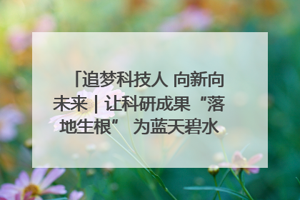 追梦科技人 向新向未来｜让科研成果“落地生根” 为蓝天碧水“保驾护航”