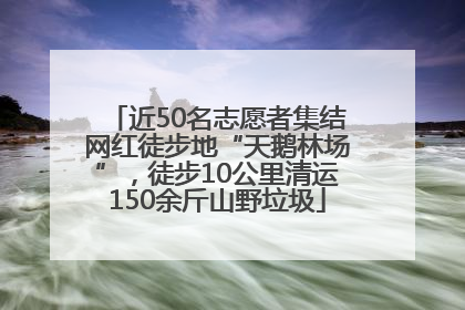 近50名志愿者集结网红徒步地“天鹅林场”，徒步10公里清运150余斤山野垃圾