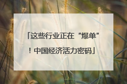 这些行业正在“爆单”！中国经济活力密码
