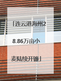 连云港海州28.86万亩小麦陆续开镰