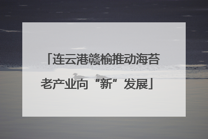 连云港赣榆推动海苔老产业向“新”发展