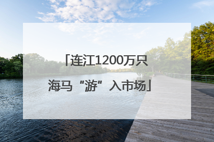 连江1200万只海马“游”入市场