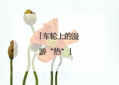 车轮上的漫游“热”