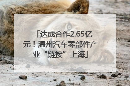 达成合作2.65亿元！温州汽车零部件产业“链接”上海