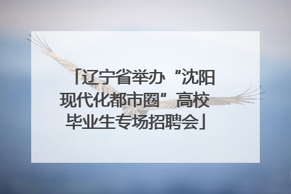 辽宁省举办“沈阳现代化都市圈”高校毕业生专场招聘会