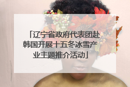 辽宁省政府代表团赴韩国开展十五冬冰雪产业主题推介活动
