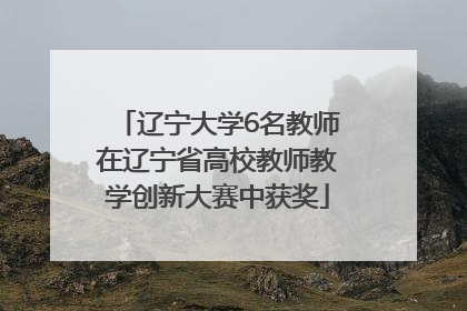 辽宁大学6名教师在辽宁省高校教师教学创新大赛中获奖