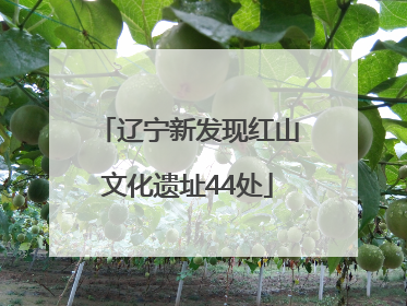 辽宁新发现红山文化遗址44处