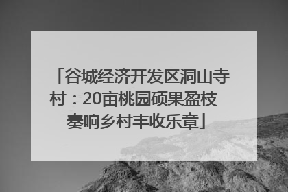 谷城经济开发区洞山寺村：20亩桃园硕果盈枝 奏响乡村丰收乐章