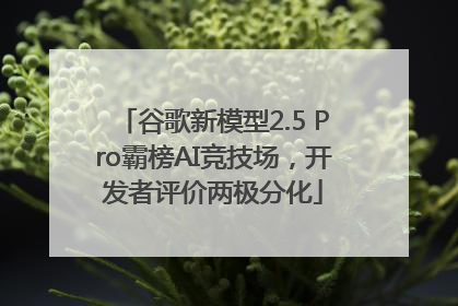 谷歌新模型2.5 Pro霸榜AI竞技场，开发者评价两极分化