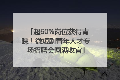 超60%岗位获得青睐！微短剧青年人才专场招聘会圆满收官