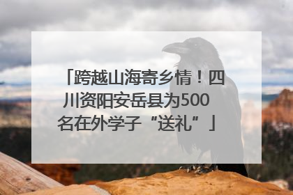 跨越山海寄乡情！四川资阳安岳县为500名在外学子“送礼”