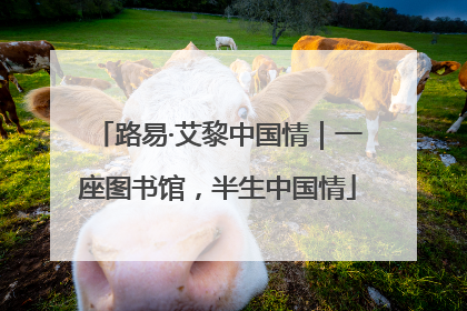 路易·艾黎中国情｜一座图书馆，半生中国情