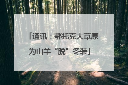 通讯：鄂托克大草原为山羊“脱”冬装