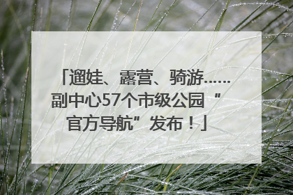 遛娃、露营、骑游……副中心57个市级公园“官方导航”发布！