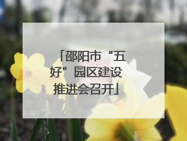 邵阳市“五好”园区建设推进会召开