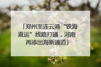 郑州至连云港“铁海直运”线路打通，河南再添出海新通道