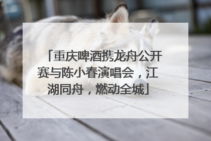 重庆啤酒携龙舟公开赛与陈小春演唱会，江湖同舟，燃动全城