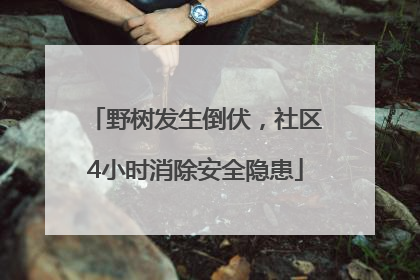 野树发生倒伏，社区4小时消除安全隐患