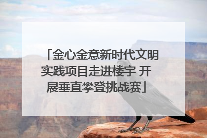 金心金意新时代文明实践项目走进楼宇 开展垂直攀登挑战赛