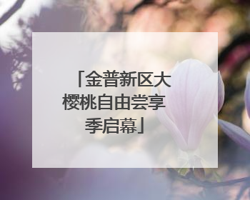 金普新区大樱桃自由尝享季启幕