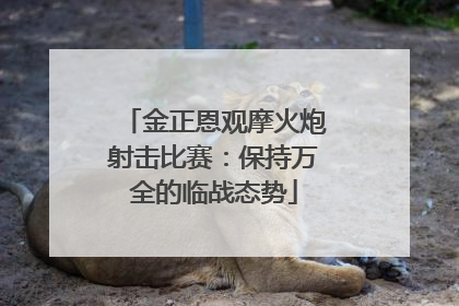 金正恩观摩火炮射击比赛：保持万全的临战态势