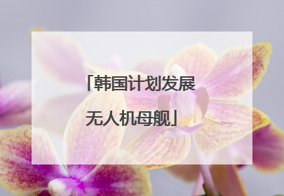 韩国计划发展无人机母舰