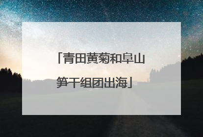 青田黄菊和阜山笋干组团出海