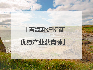 青海赴沪招商 优势产业获青睐