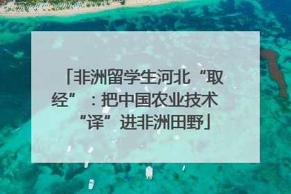 非洲留学生河北“取经”：把中国农业技术“译”进非洲田野