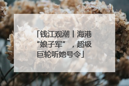 钱江观潮丨海港“娘子军”，超级巨轮听她号令