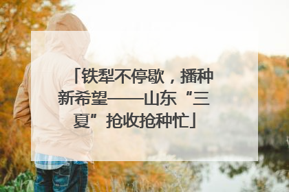 铁犁不停歇，播种新希望——山东“三夏”抢收抢种忙