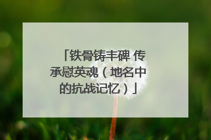 铁骨铸丰碑 传承慰英魂（地名中的抗战记忆）