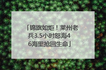 锦旗如炬！莱州老兵3.5小时怒海46海里抢回生命