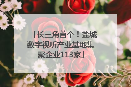 长三角首个！盐城数字视听产业基地集聚企业113家
