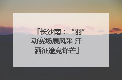 长沙南：“羽”动赛场展风采 汗洒征途竞锋芒