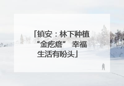 镇安：林下种植“金疙瘩” 幸福生活有盼头