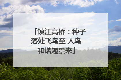 镇江高桥：种子落处飞鸟至 人鸟和谐趣景来