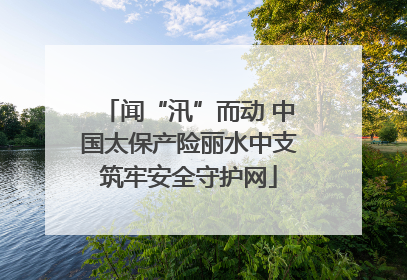 闻“汛”而动 中国太保产险丽水中支筑牢安全守护网
